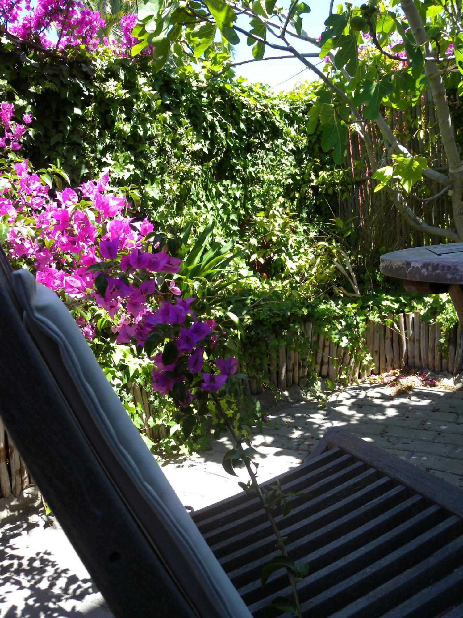 بلوبيرجستراند Capetown 4U Guesthouse المظهر الخارجي الصورة